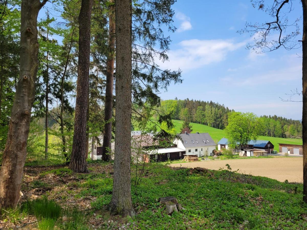 Ruhig Gelegene, Top Moderne Ferienwohnung - Hot Tub Und Sauna Gegen Aufpreis Neuhaus an Der Eger Εξωτερικό φωτογραφία